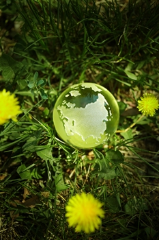 Global ecology